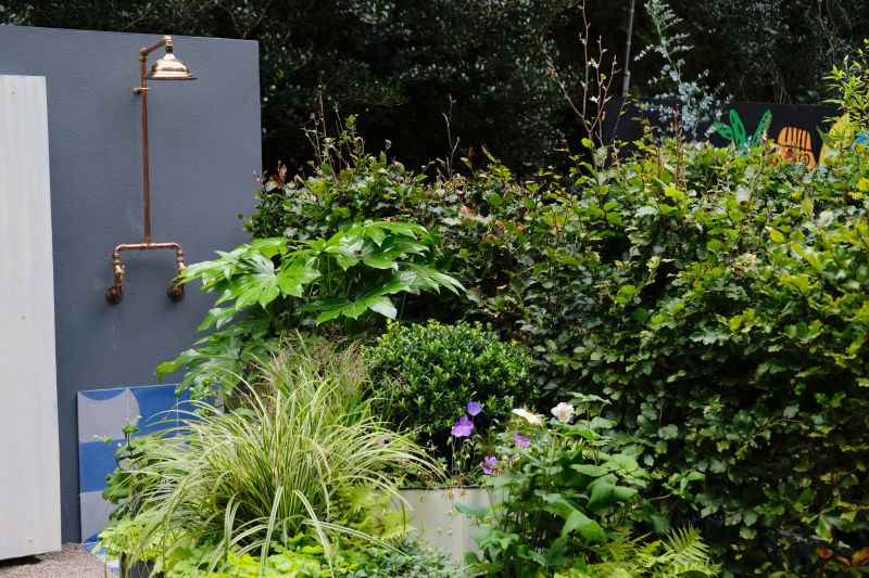 Shower Room Installation